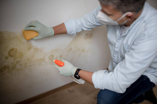 Crawl Space Mold Removal in Anderson, IN