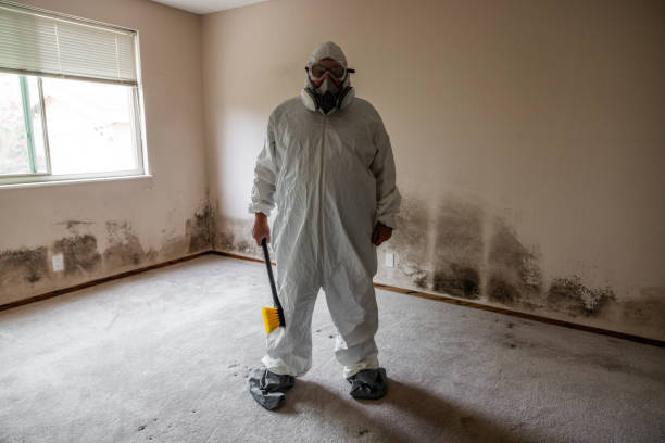 Best Toxic Mold Removal  in Anderson, IN